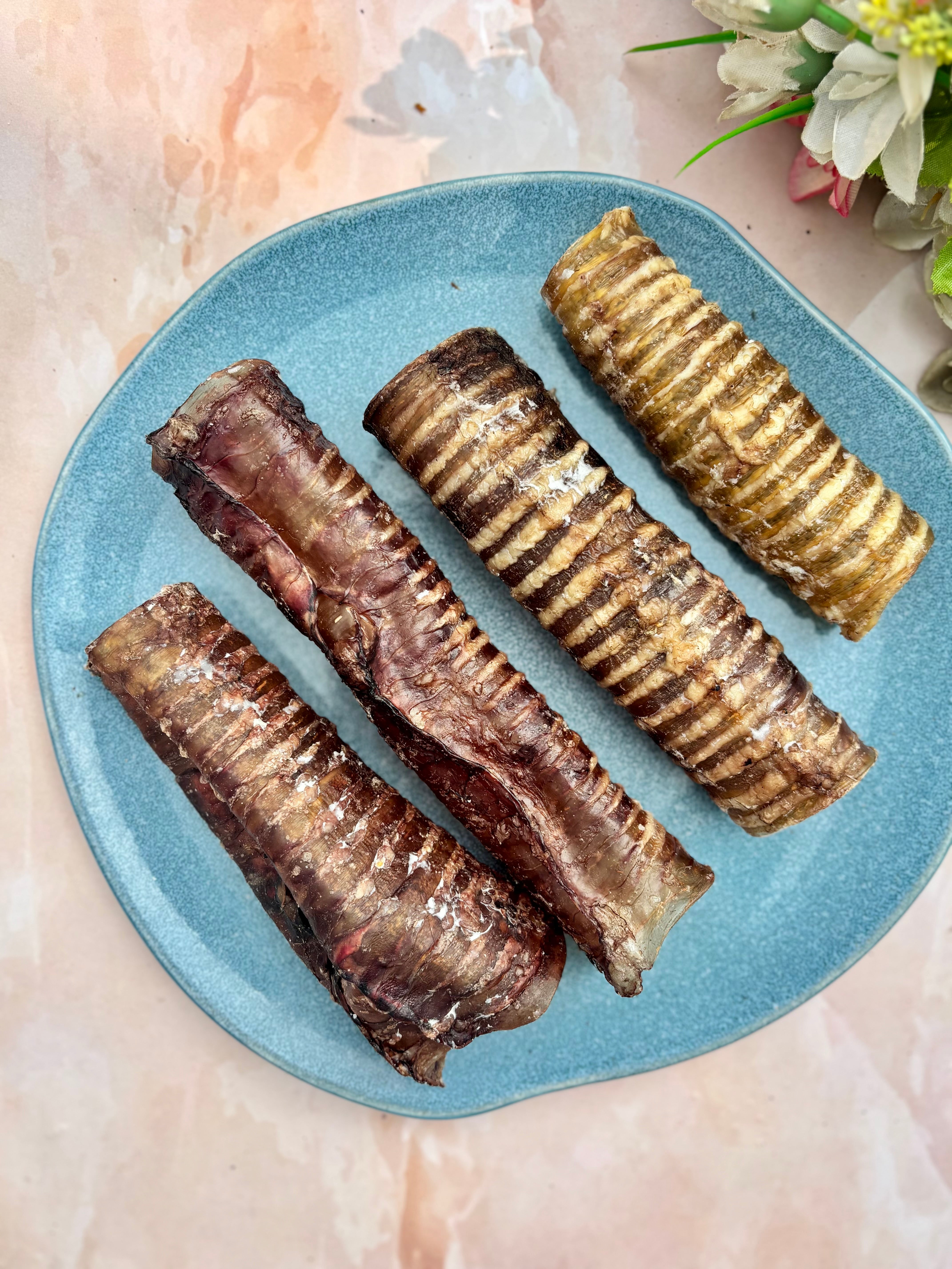 Beef Tracheas