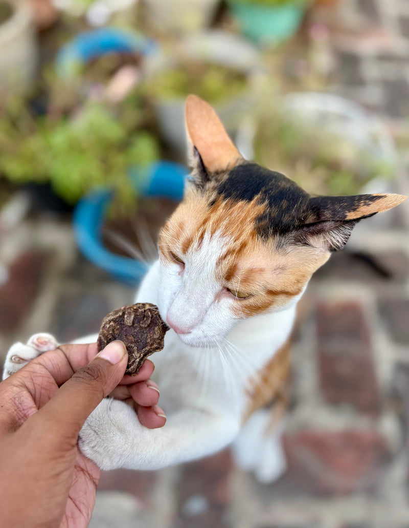 Buffalo Cookies - SPECIAL