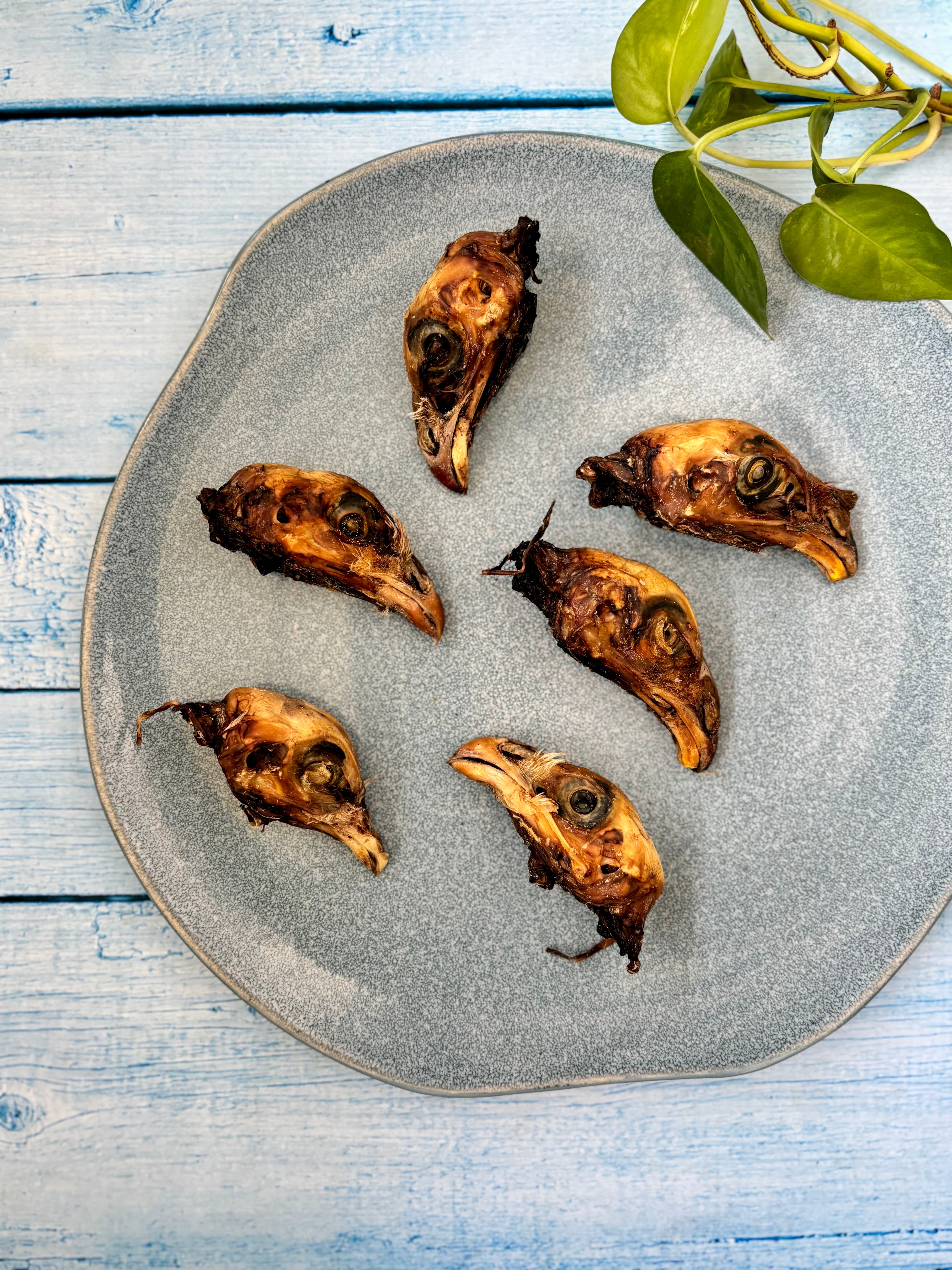 Chicken Heads - SPECIAL