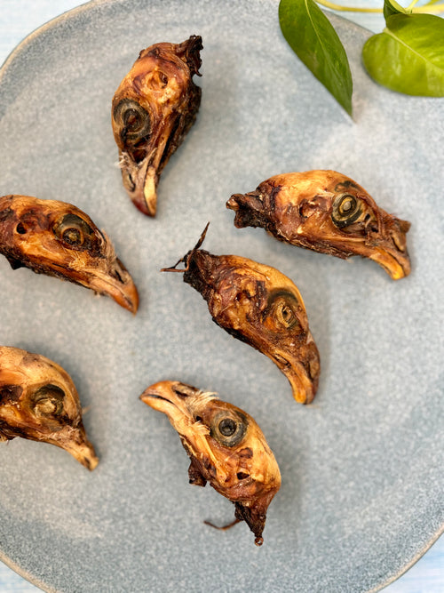 Chicken Heads - SPECIAL