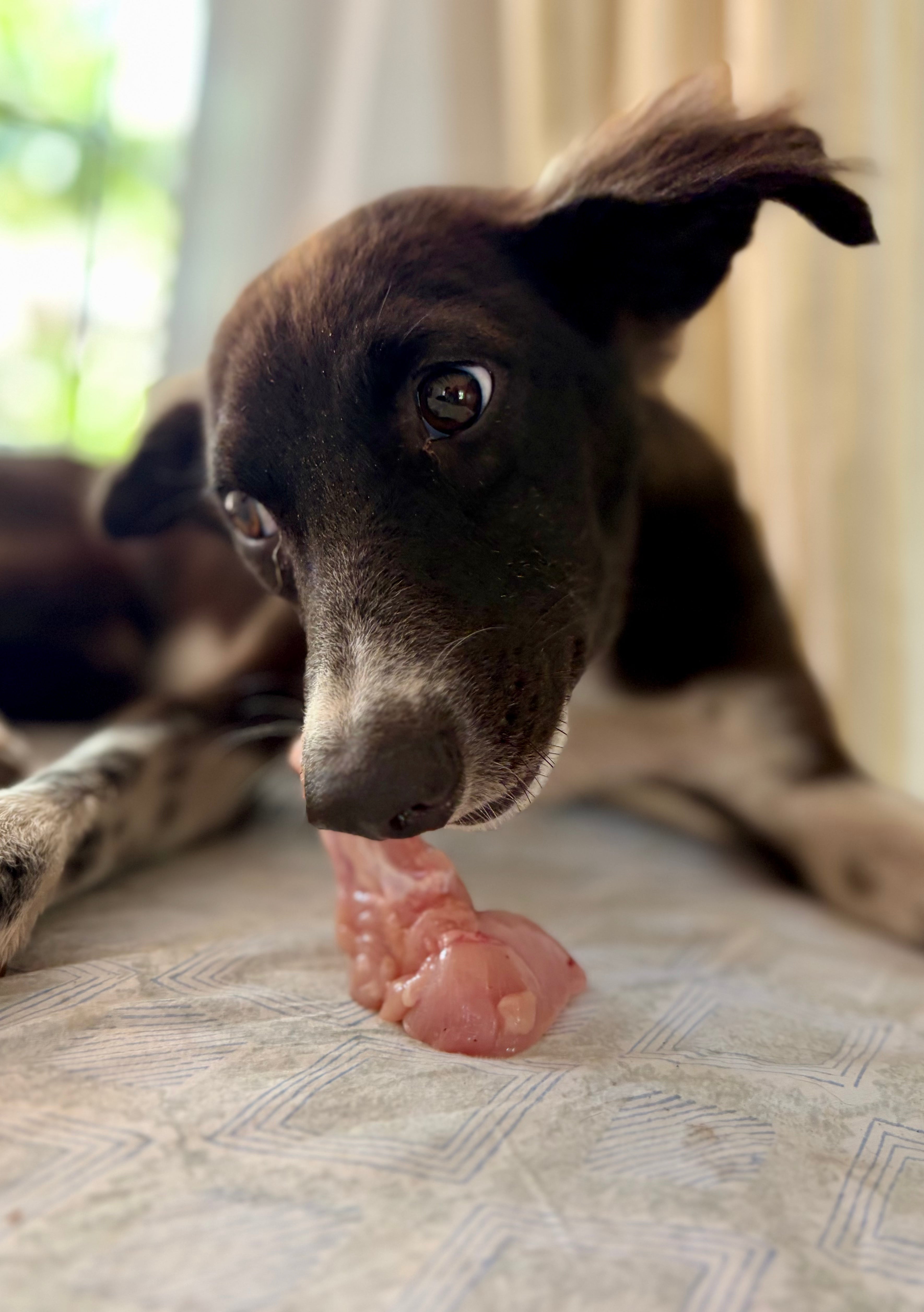 Meaty Chicken Bones