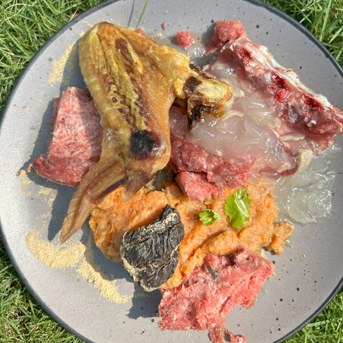 Default Image Alt Text