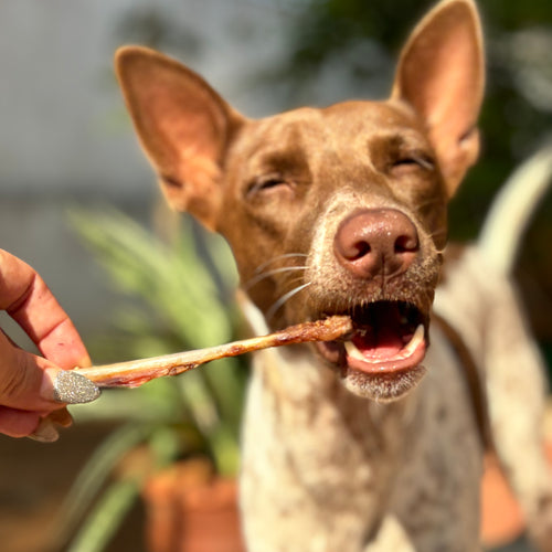 Default Image Alt Text