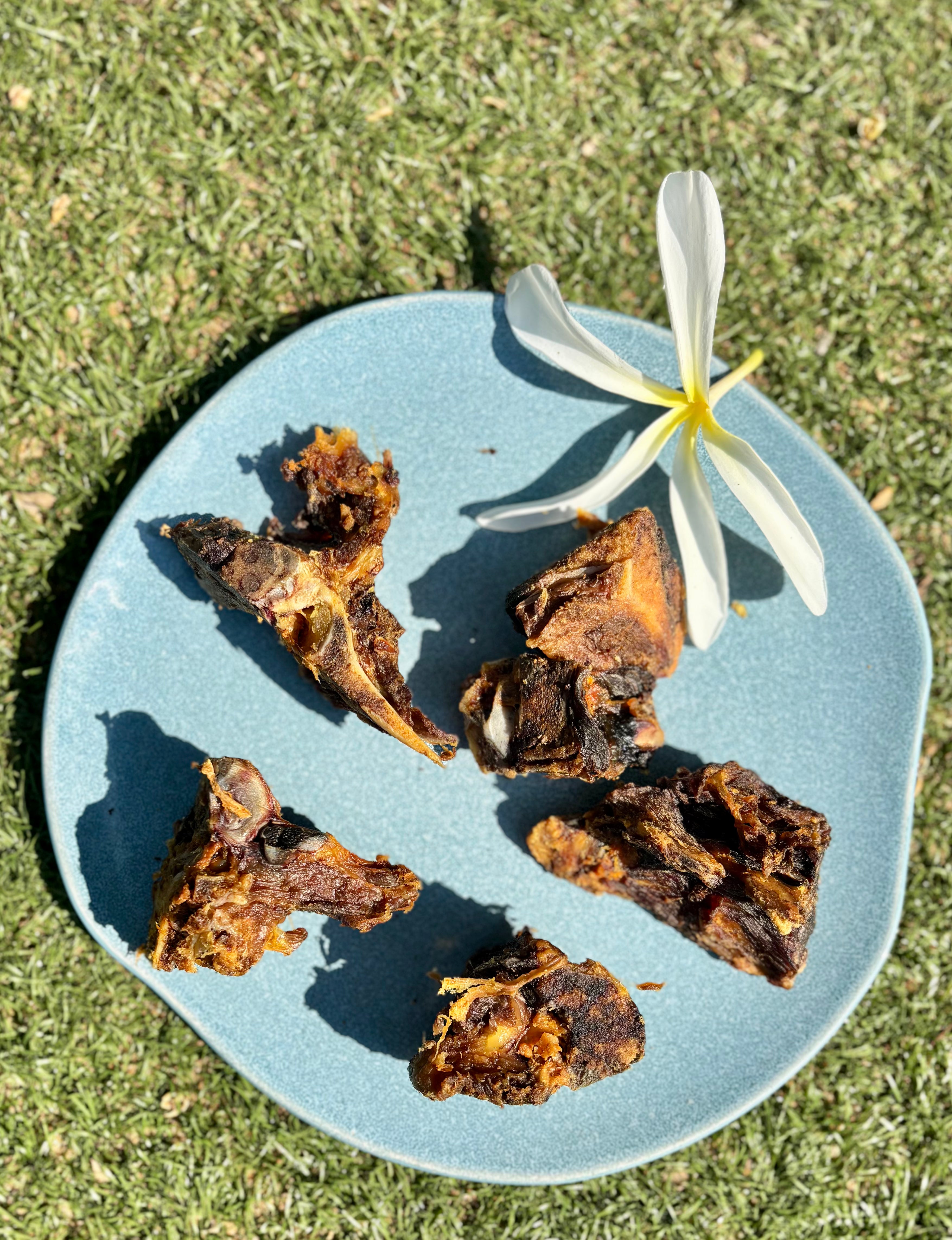 Pork Meaty Chewbones - SPECIAL