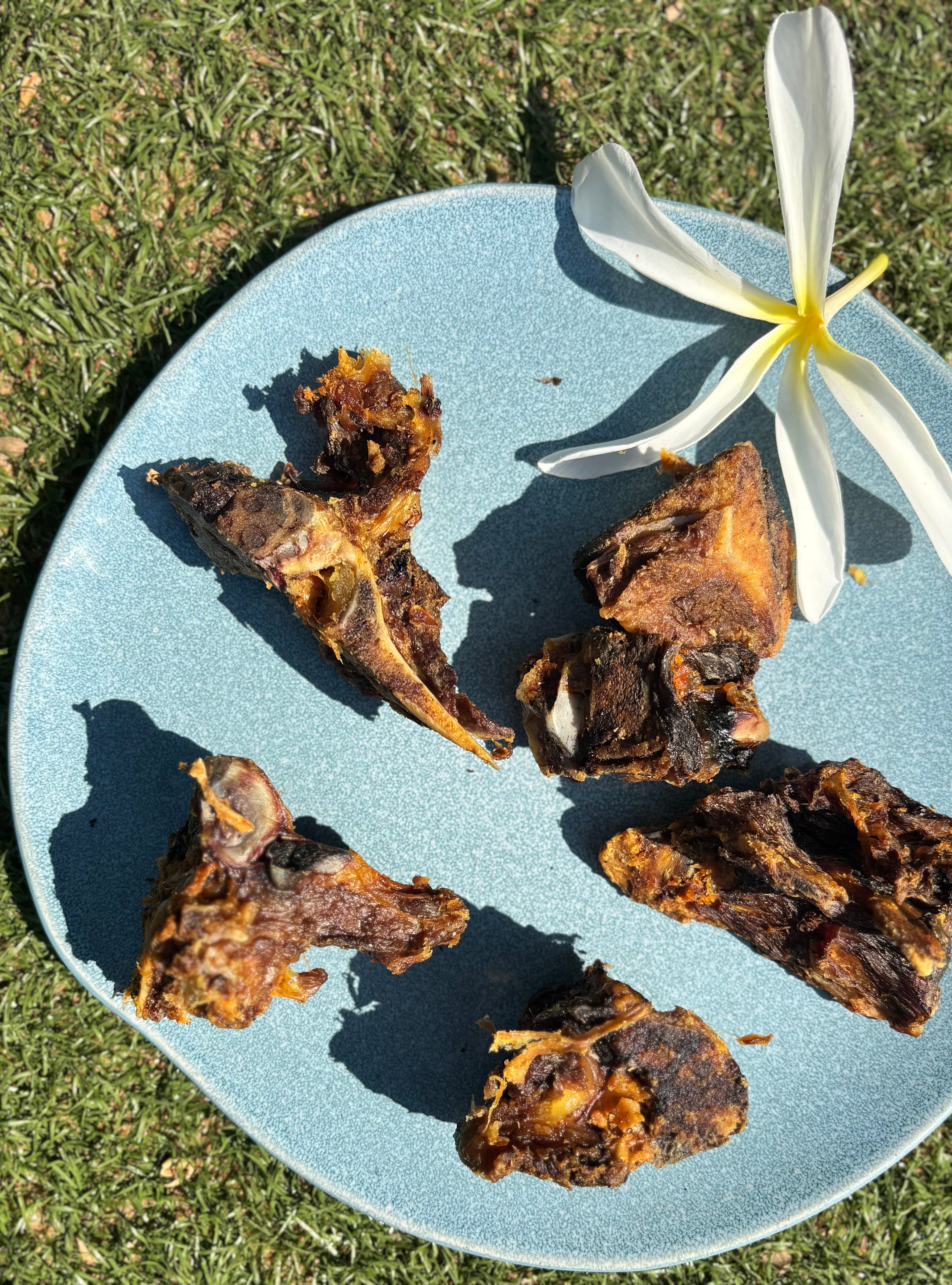Pork Meaty Chewbones - SPECIAL
