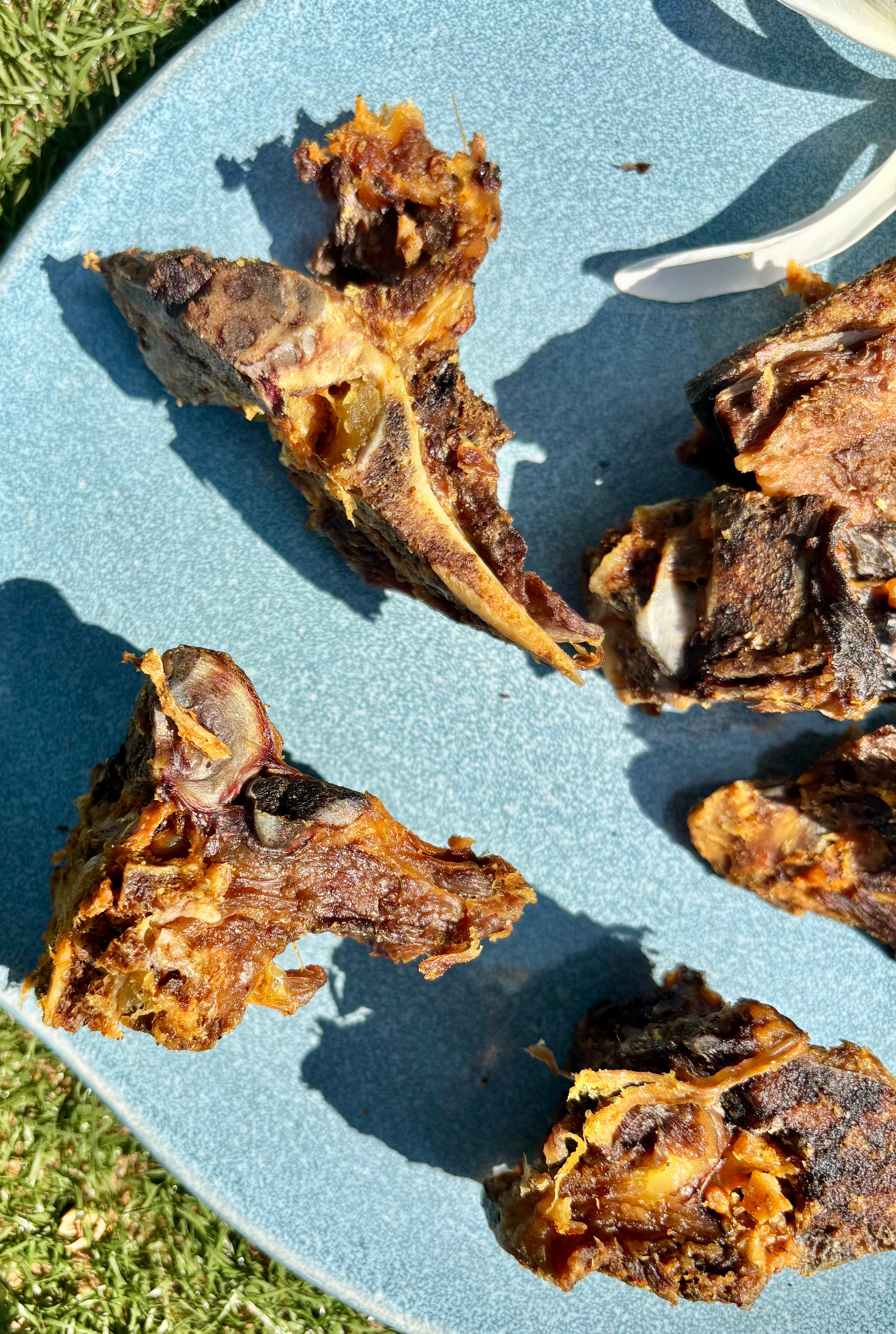 Pork Meaty Chewbones - SPECIAL
