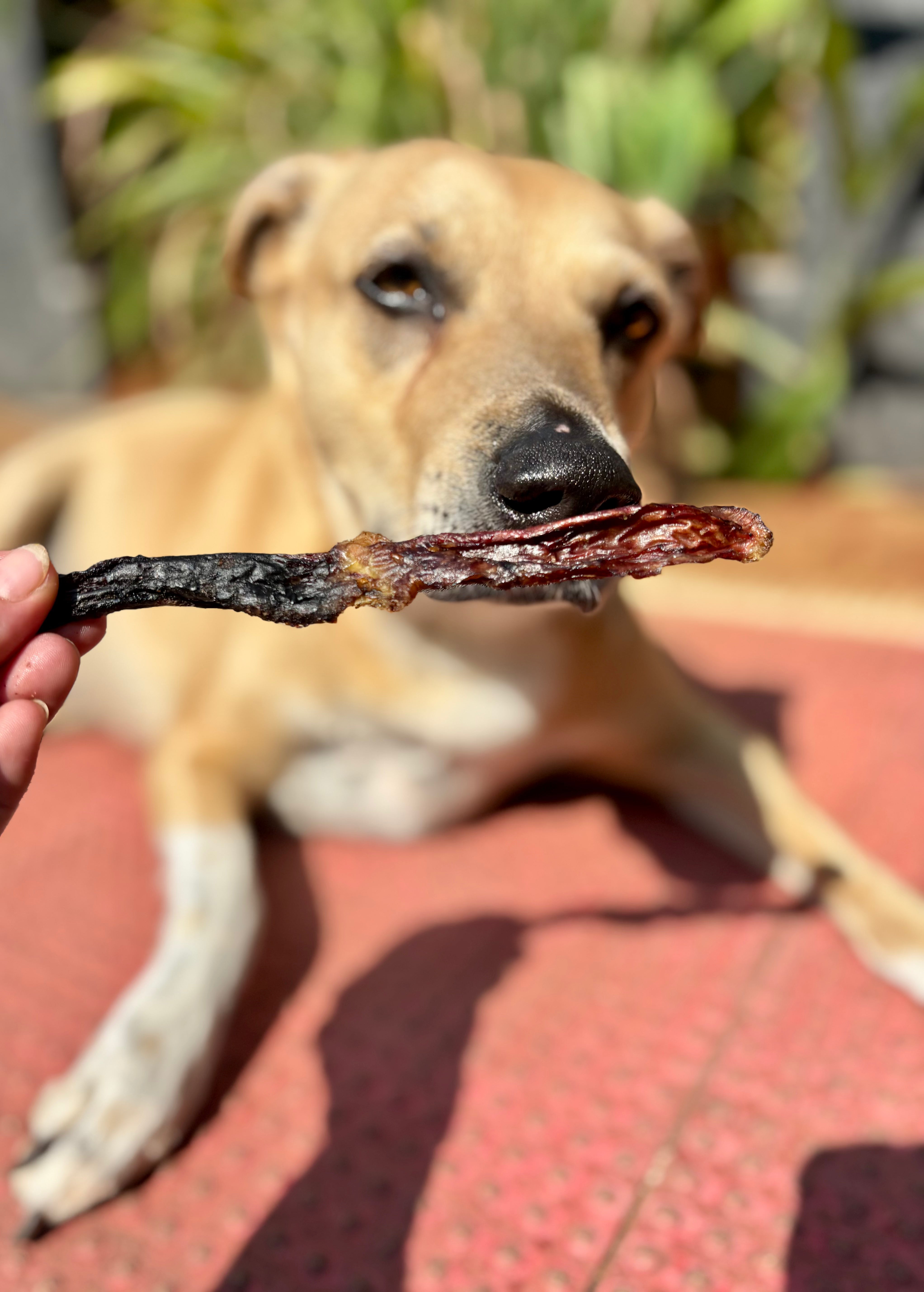 Pork Gullet - SPECIAL