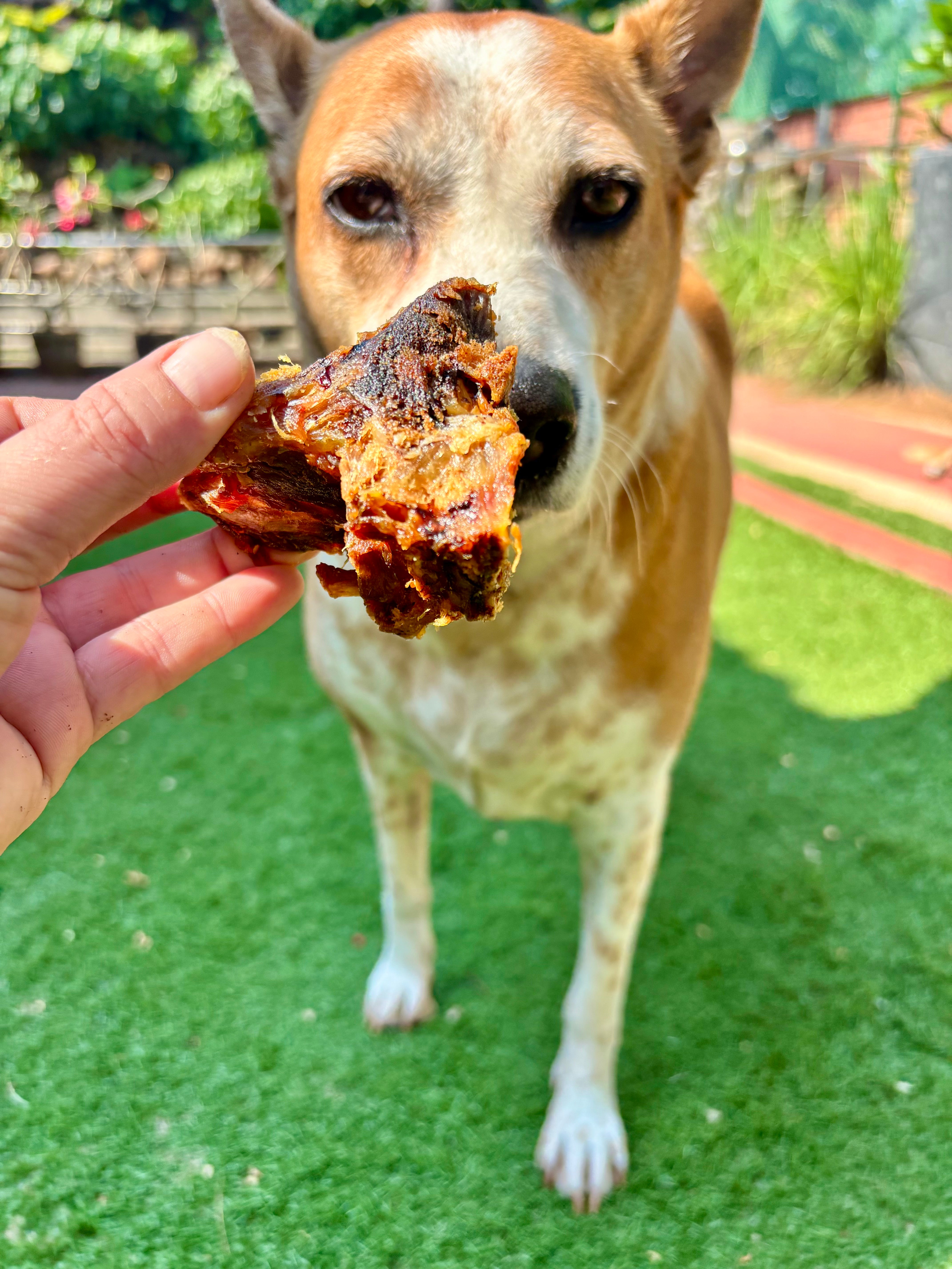 Pork Meaty Chewbones - SPECIAL