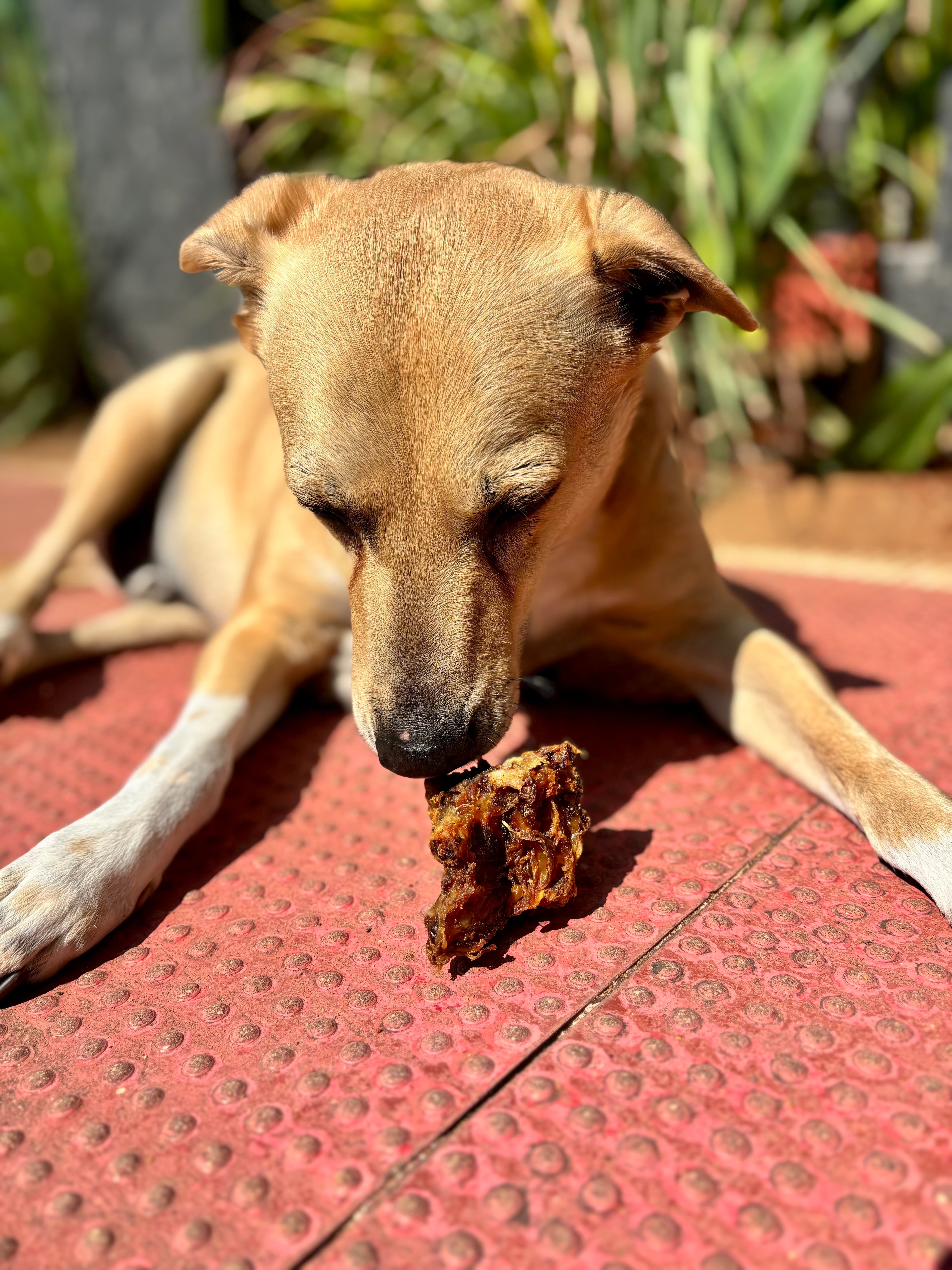 Pork Meaty Chewbones - SPECIAL