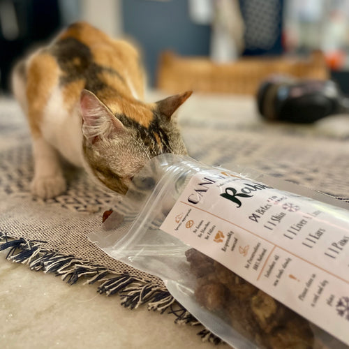 Default Image Alt Text