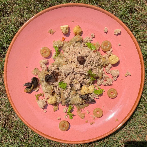 Default Image Alt Text