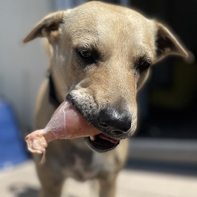 Raw & HC (Chennai only)