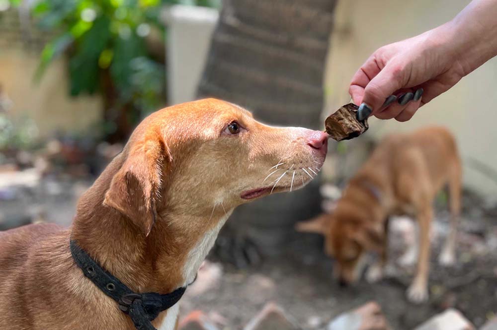 TREATS