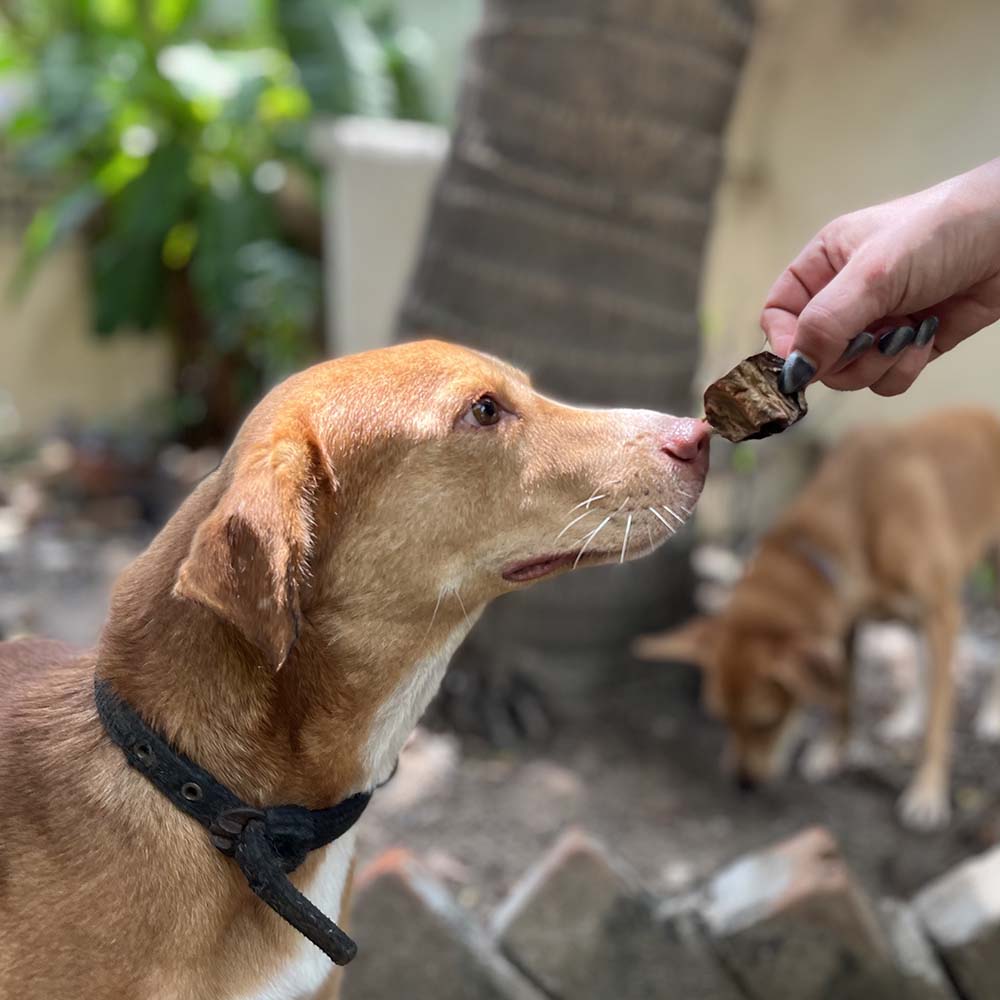TREATS