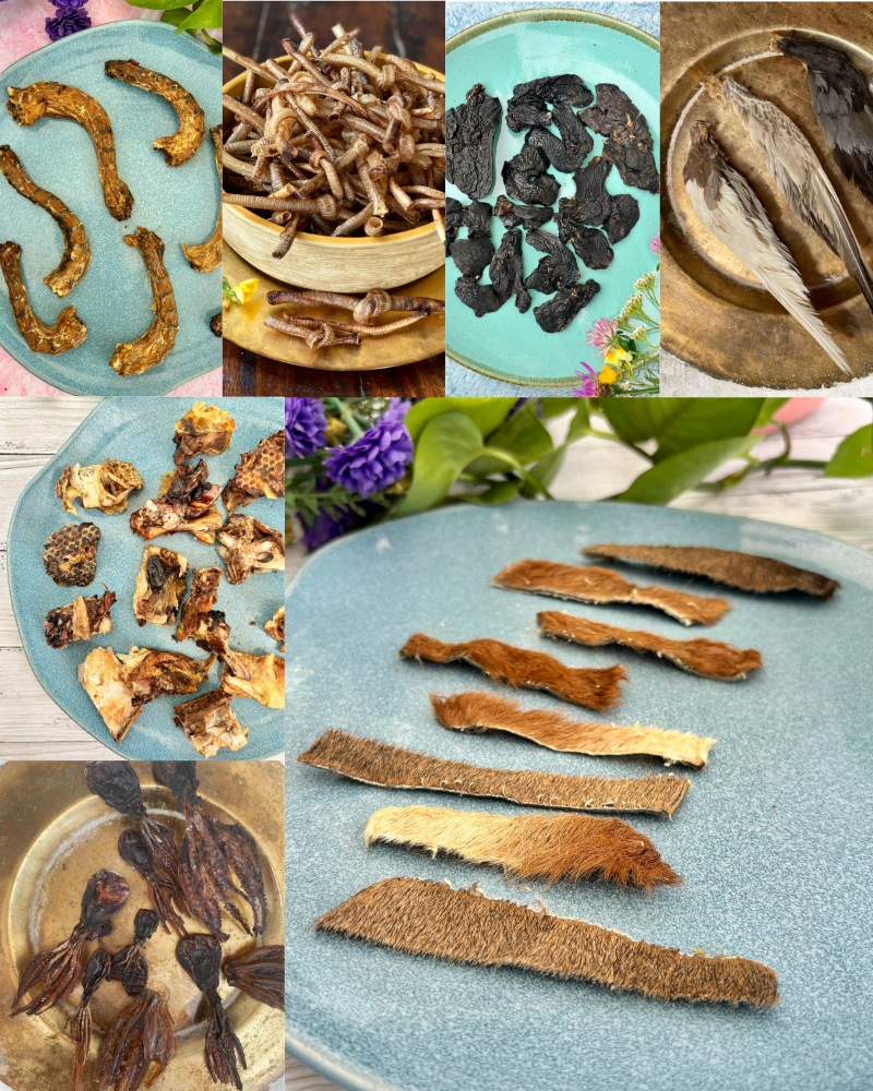 Play & Chew Assortments for Cats