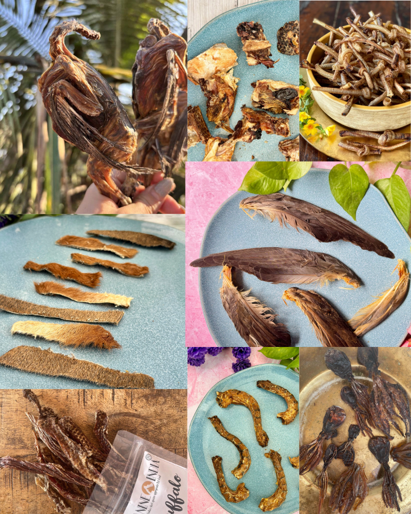 Play & Chew Assortments for Cats