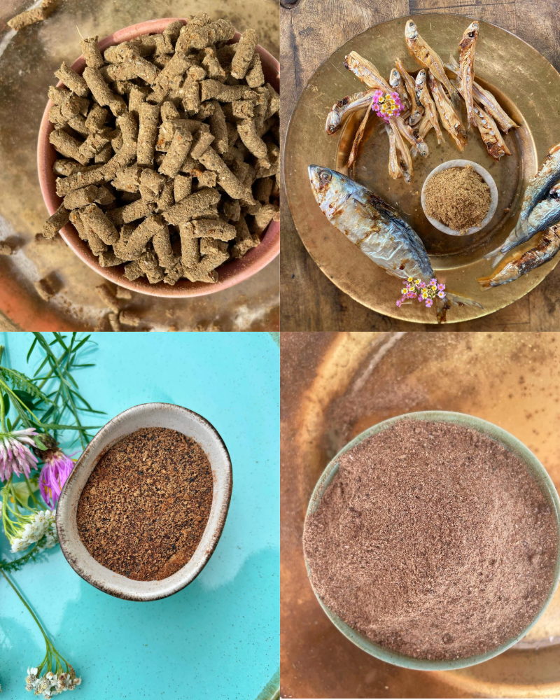 Anti Inflammation & Immunity Assortment for Dogs & Cats