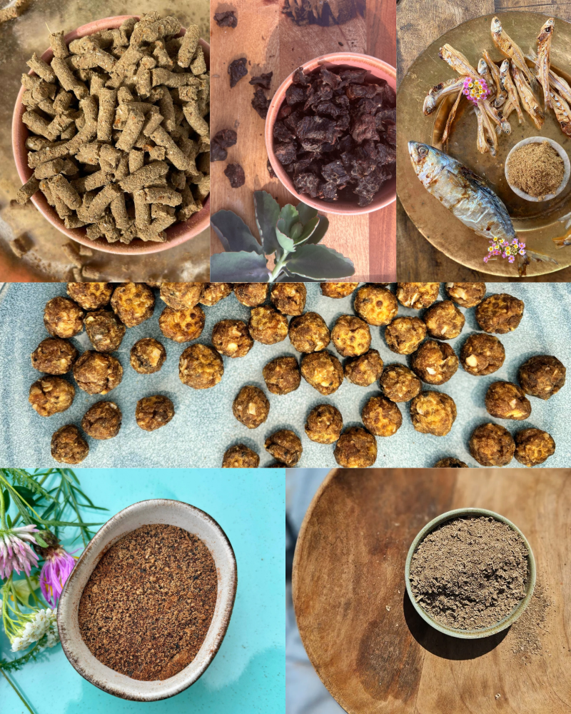 Anti Inflammation & Immunity Assortment for Dogs & Cats