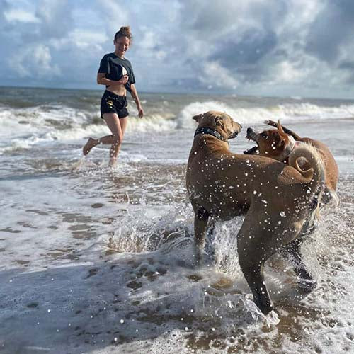 Default Image Alt Text