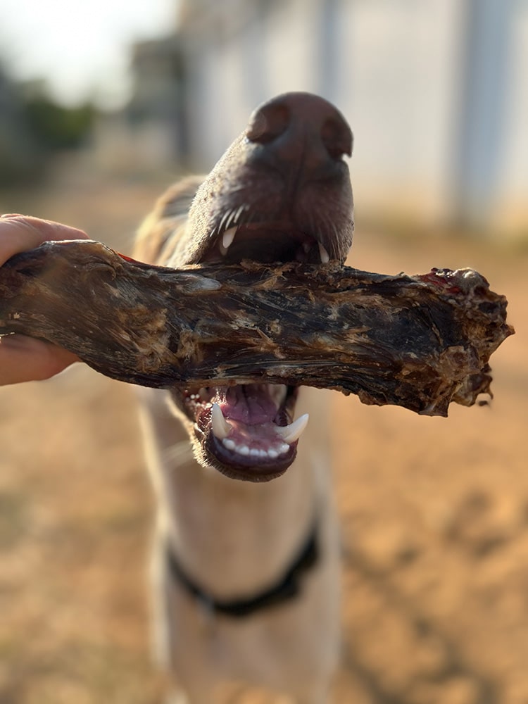 Goat Meaty Bones | Ribs, Neck, Shoulder & more