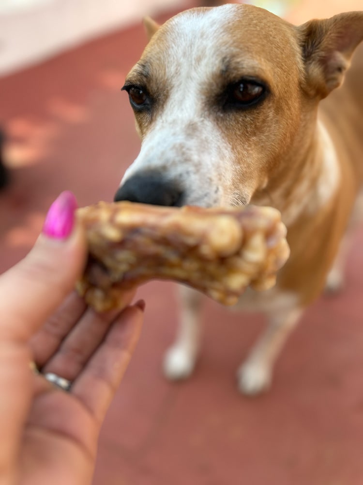 Gold Bars - Pork Chew Bone Pack of 2