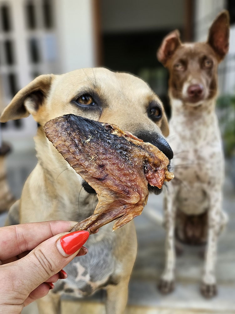Guinea Fowl Meaty Chews for Dogs and Cats