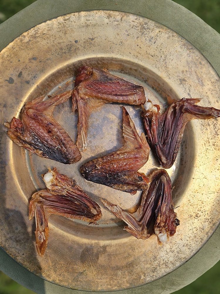 Guinea Fowl Meaty Chews for Dogs and Cats