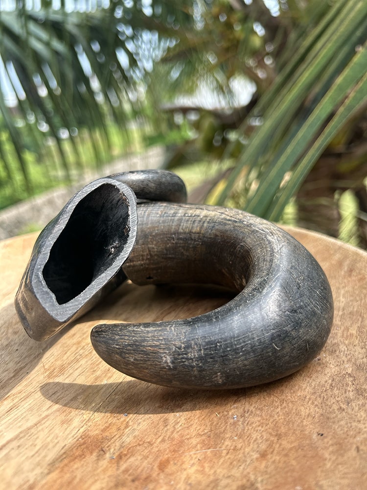 Horn Chew - natural & reusable Toppl / Kong alternative