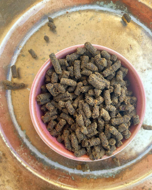 Insect Protein complete Meal & Toppers