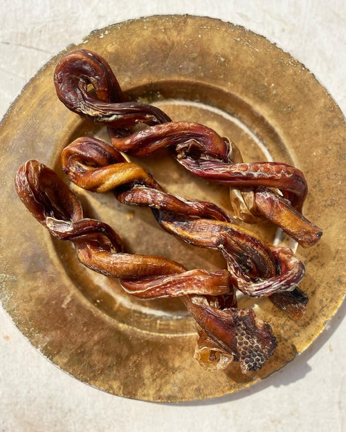 Pizzle / Bully Stick - boneless Chew Sticks & Twists