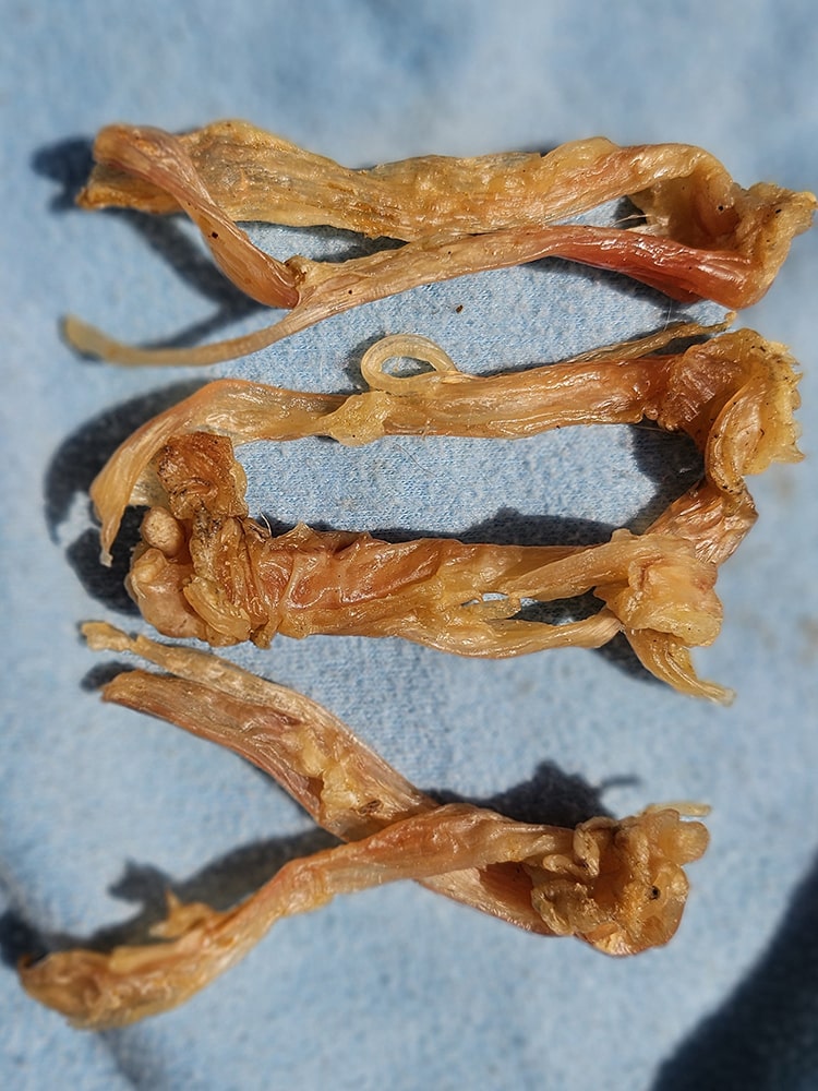 Pork Tendons boneless Chew - rich in Cartilage