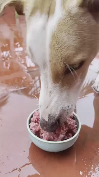 Chicken Mince