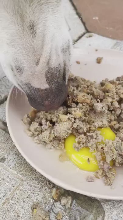 Rabbit HC Meal - Ready to Serve