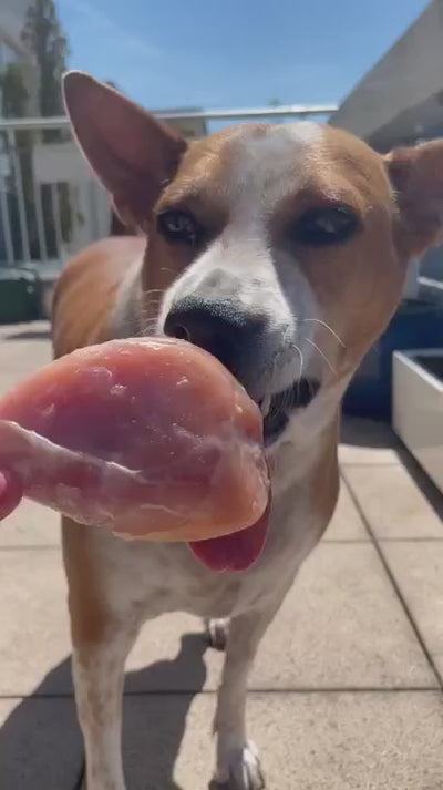 Chicken Bones