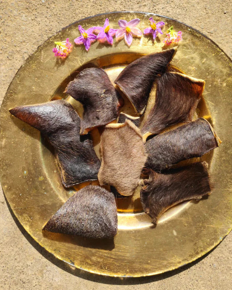 Shelter Pack - Salmon or Real Hide Chews