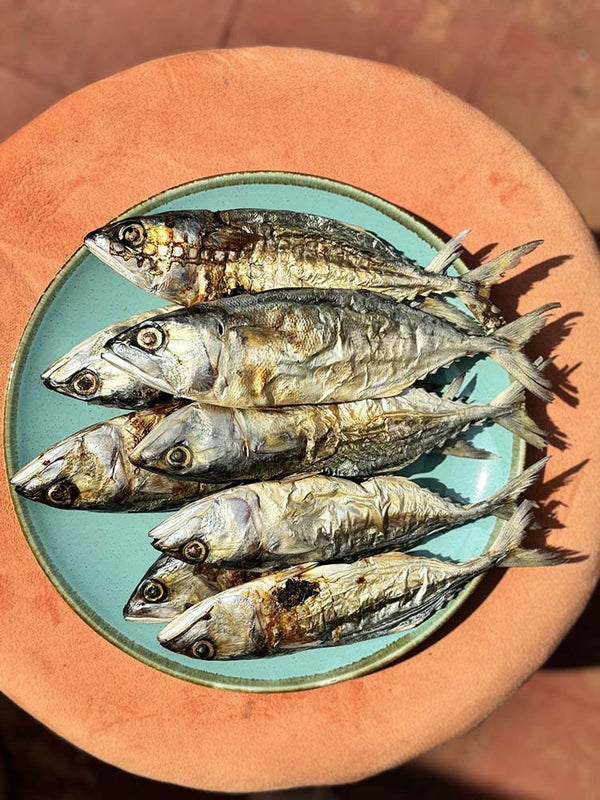 Whole Fish (Anchovy, Sardines, Mackerel or Mix)